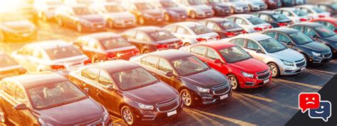 Are Car Dealers Open on Sunday? And Why Do Cats Love Sunroofs?