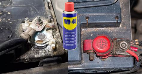 Can You Spray WD40 on Car Battery Terminals? And Why Does My Cat Stare at the Ceiling Fan?